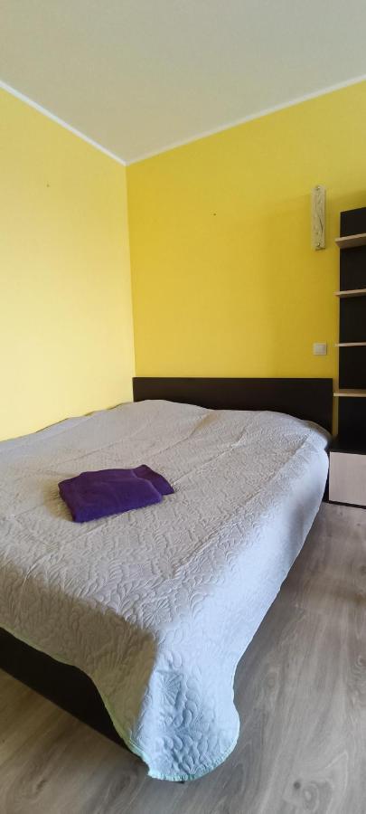 Adeles Apartamentai Panevezyje Panevėžys Exteriör bild